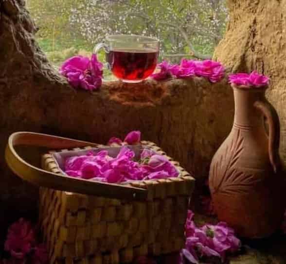 تصویر 4 از گلاب کاشان با عطر ماندگار